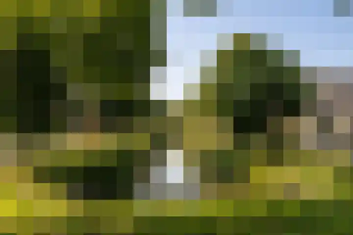 Vaartuigenlaan 4 Woerden thumbnail 58