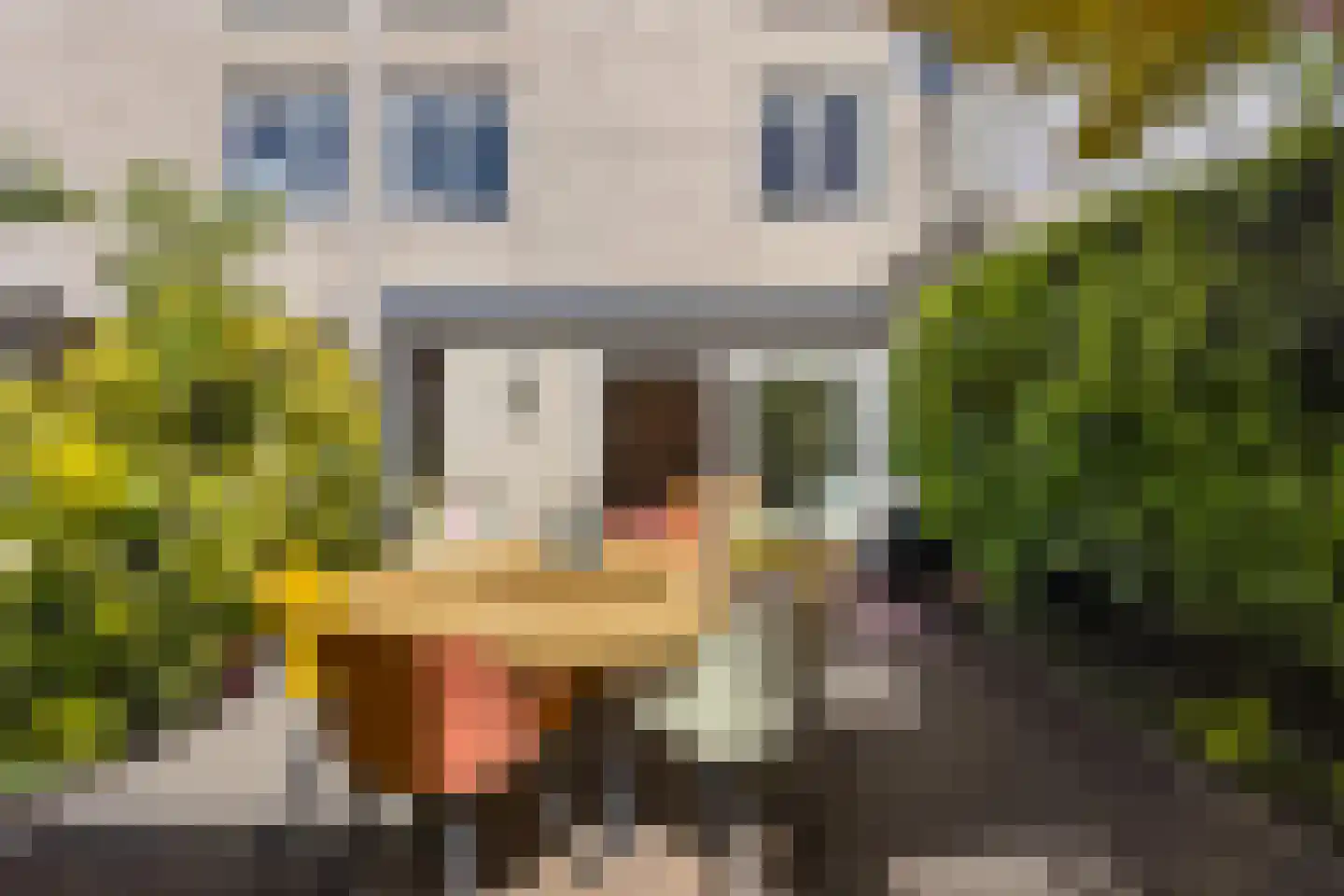 Vaartuigenlaan 49 Woerden thumbnail 14