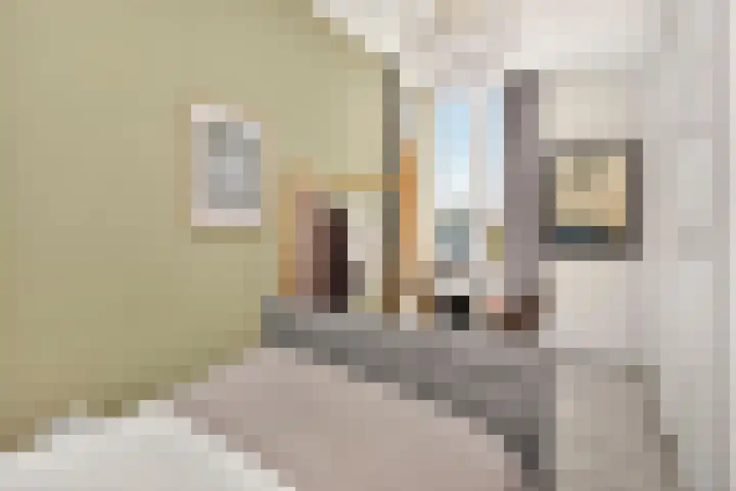 Vaartuigenlaan 49 Woerden thumbnail 33