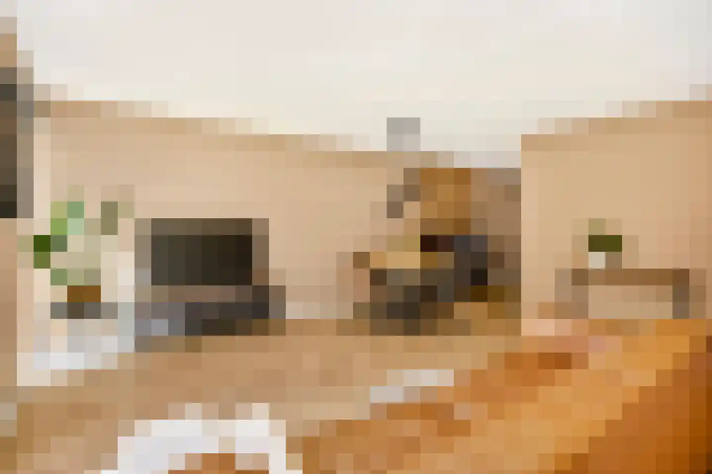 Vaartuigenlaan 49 Woerden thumbnail 5