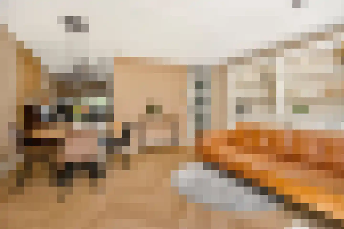 Vaartuigenlaan 49 Woerden thumbnail 7