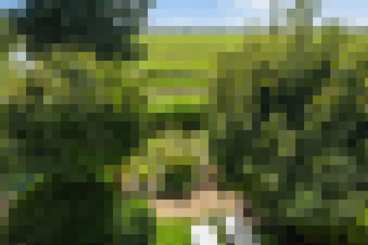 Vaartuigenlaan 90 Woerden thumbnail 39