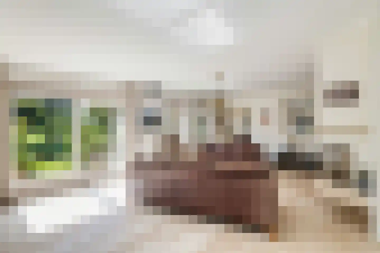 Vaartuigenlaan 90 Woerden thumbnail 5