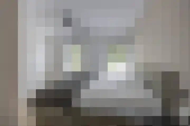 Vaartweg 10 Oudenbosch thumbnail 16
