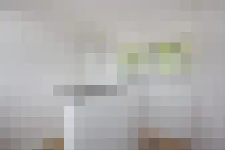 Vaartweg 10 Oudenbosch thumbnail 22