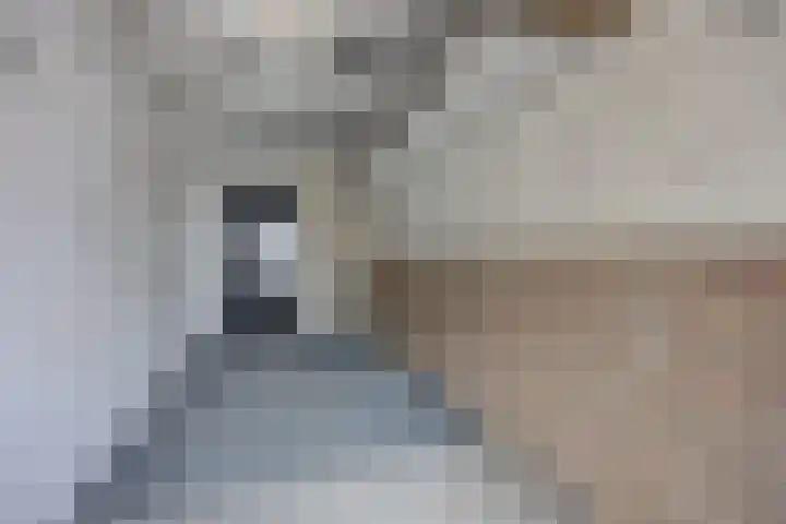 Vaartweg 10 Oudenbosch thumbnail 36