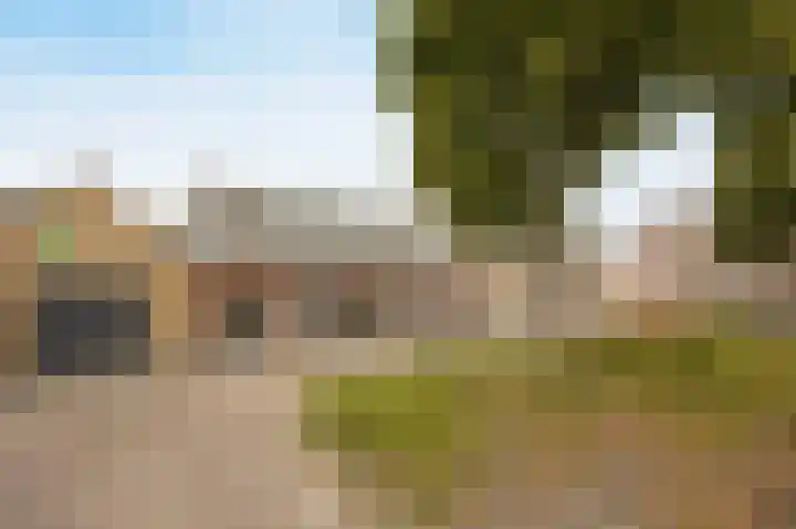Vaartweg 10 Oudenbosch thumbnail 37