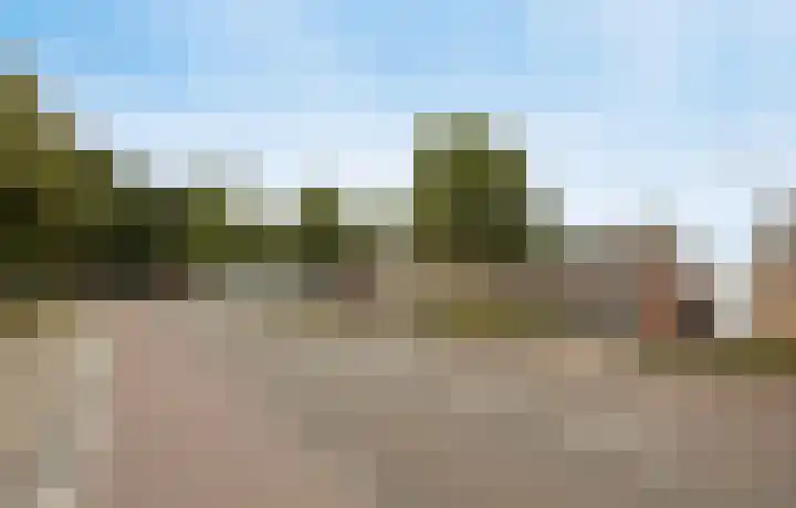 Vaartweg 10 Oudenbosch thumbnail 39
