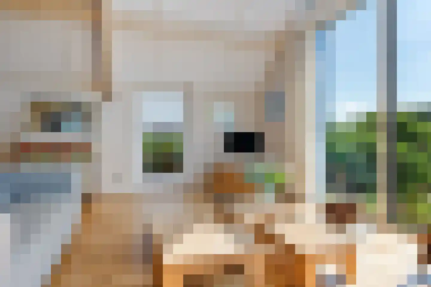 Vaartweg 10 Wilhelminaoord thumbnail 16