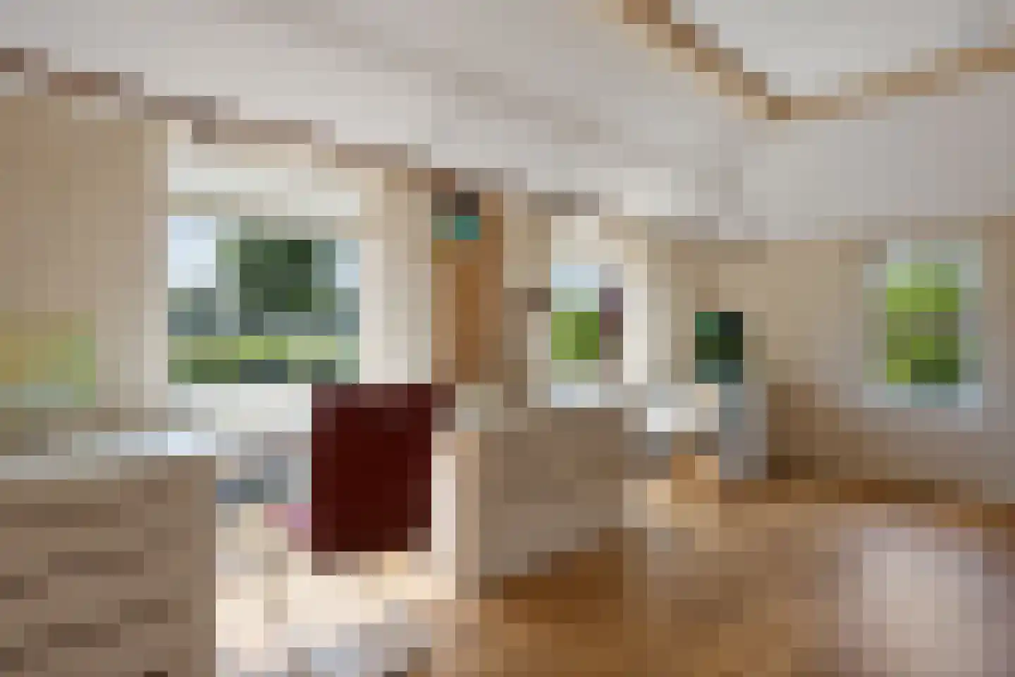 Vaartweg 10 Wilhelminaoord thumbnail 21