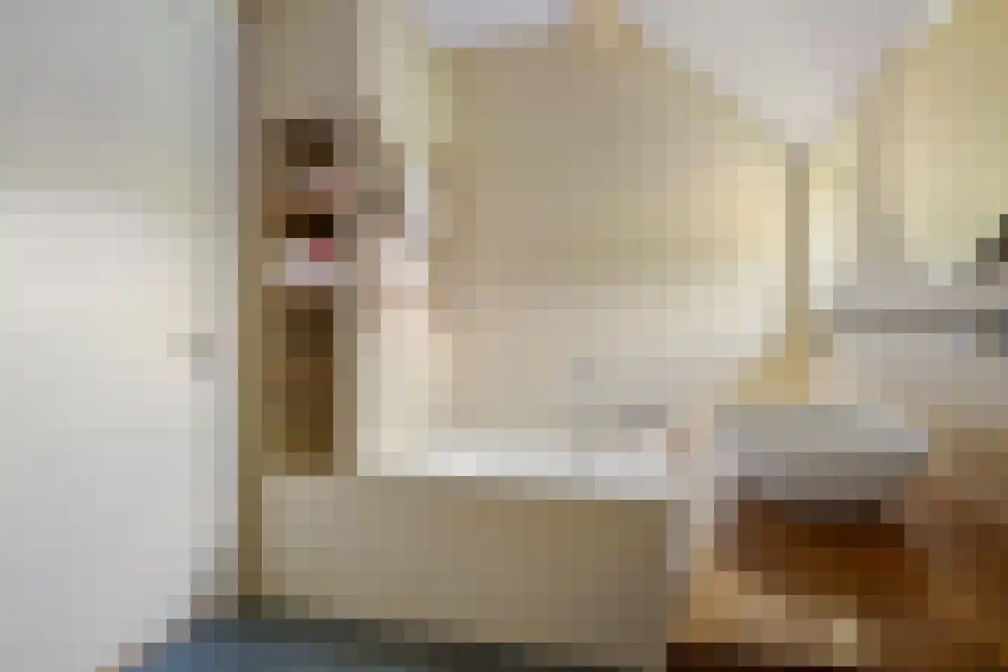 Vaartweg 10 Wilhelminaoord thumbnail 31