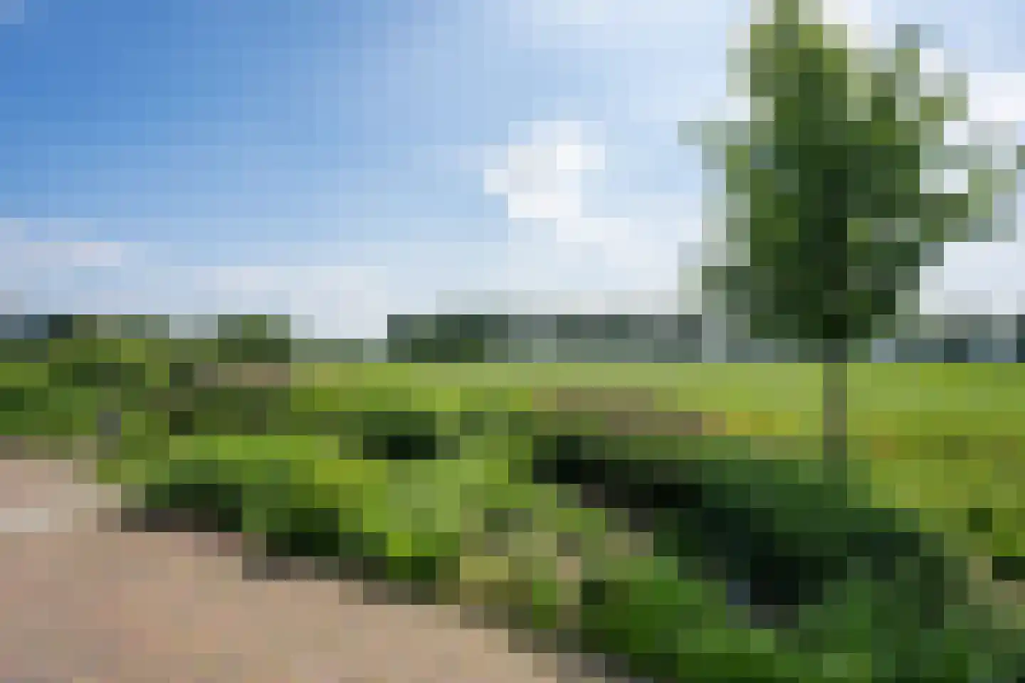 Vaartweg 10 Wilhelminaoord thumbnail 50