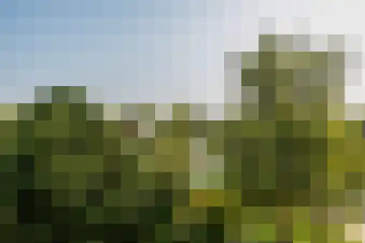 Vaartweg 110 C Vlaardingen thumbnail 10
