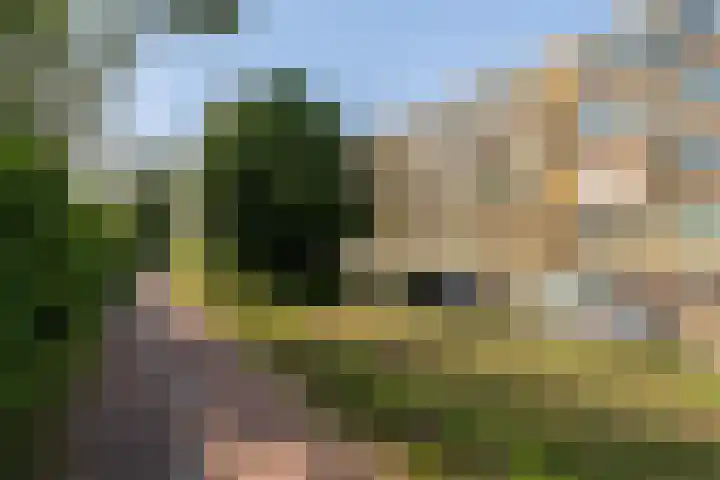 Vaartweg 110 C Vlaardingen thumbnail 23