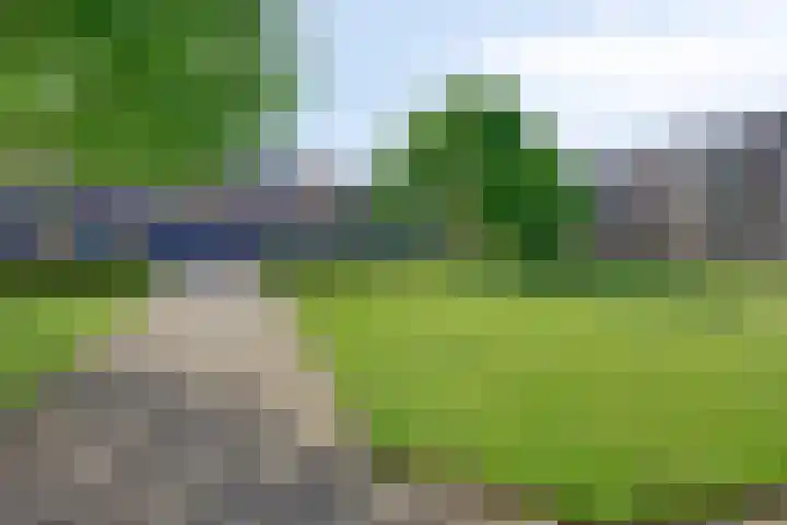 Vaartweg 112 D Vlaardingen thumbnail 22