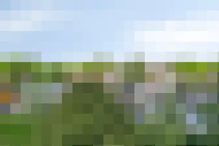 Vaartweg 112 D Vlaardingen thumbnail 23