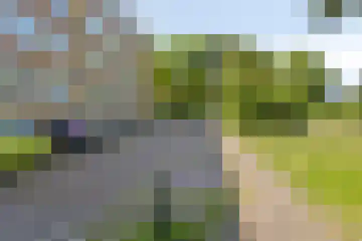 Vaartweg 112 D Vlaardingen thumbnail 4