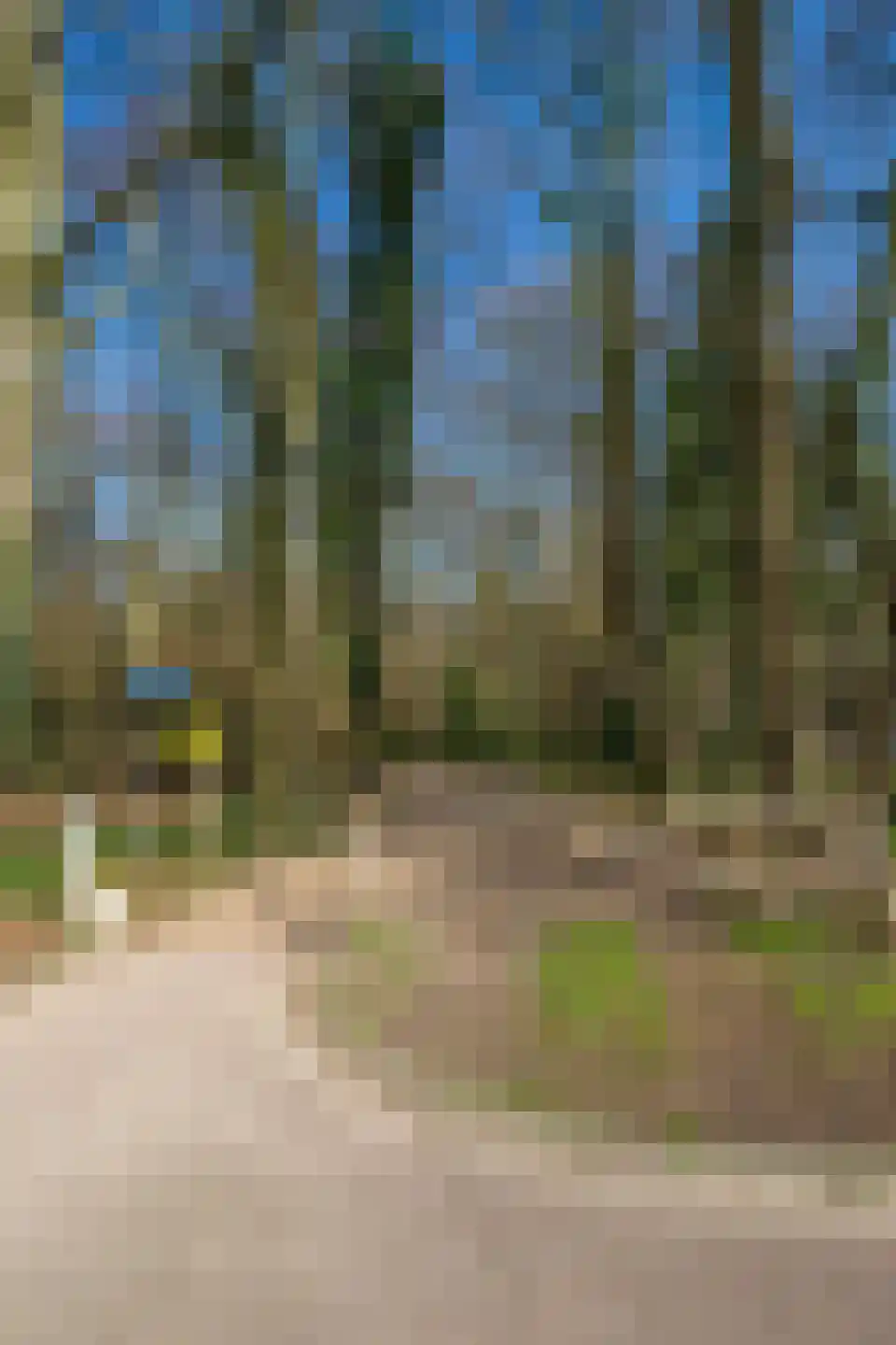 Vaartweg 118 Hilversum thumbnail 41