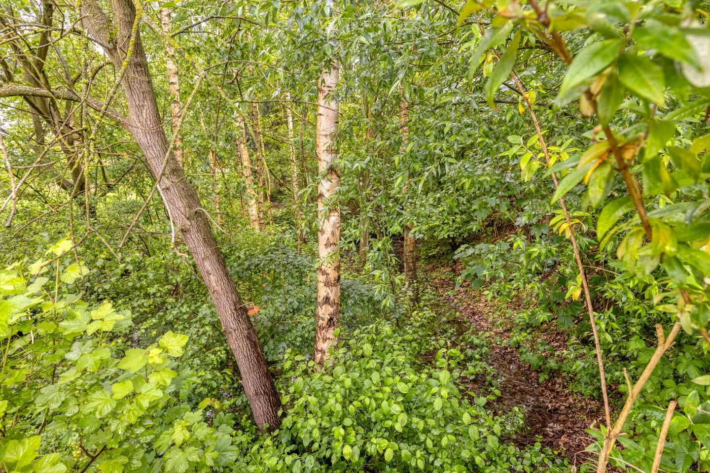 Vaartweg 12 Haelen thumbnail 53