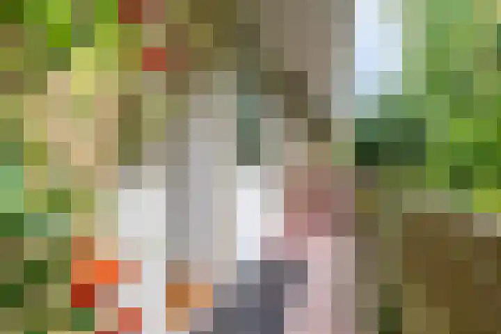 Vaartweg 126 Hilversum thumbnail 12