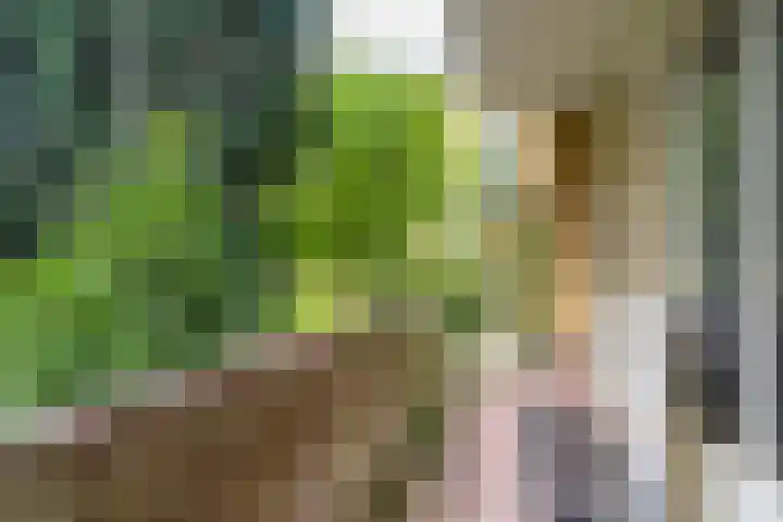 Vaartweg 126 Hilversum thumbnail 14