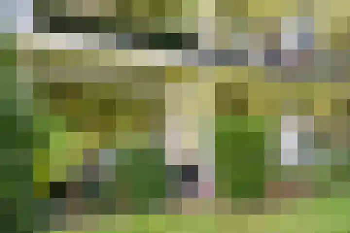 Vaartweg 126 Hilversum thumbnail 20