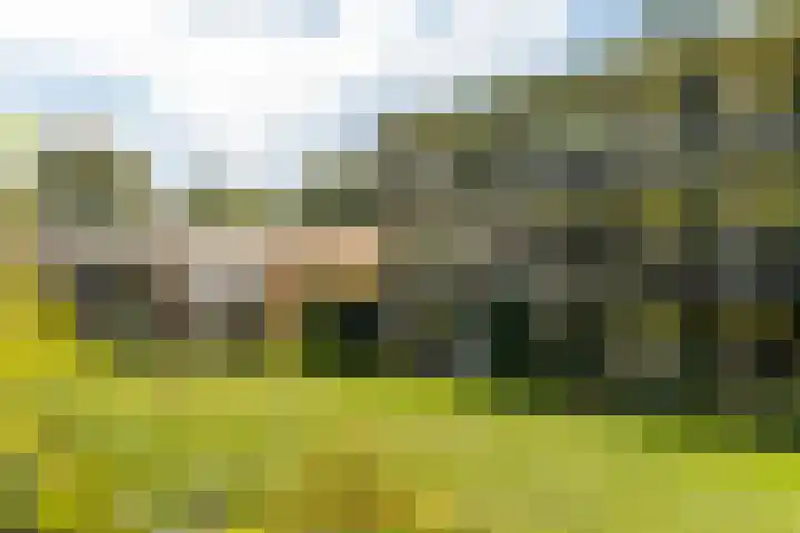 Vaartweg 126 Hilversum thumbnail 21