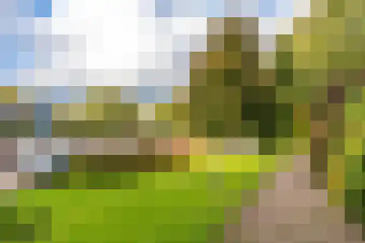 Vaartweg 126 Hilversum thumbnail 32