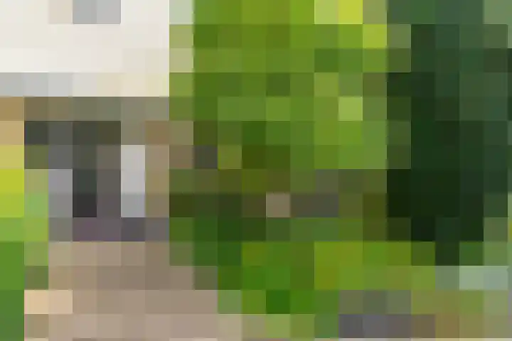 Vaartweg 126 Hilversum thumbnail 33