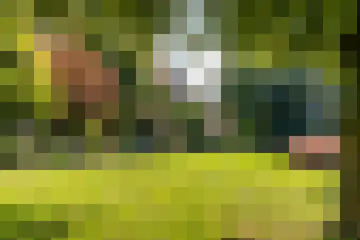Vaartweg 126 Hilversum thumbnail 5
