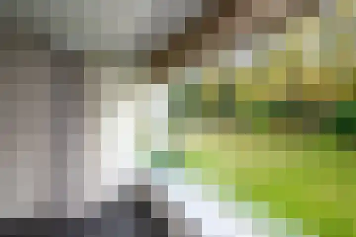 Vaartweg 128 Hilversum thumbnail 20