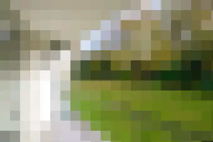 Vaartweg 128 Hilversum thumbnail 21