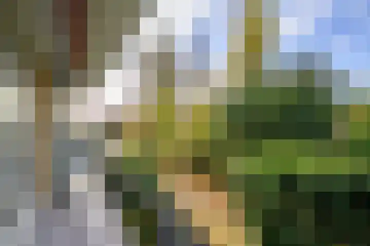 Vaartweg 128 Hilversum thumbnail 22