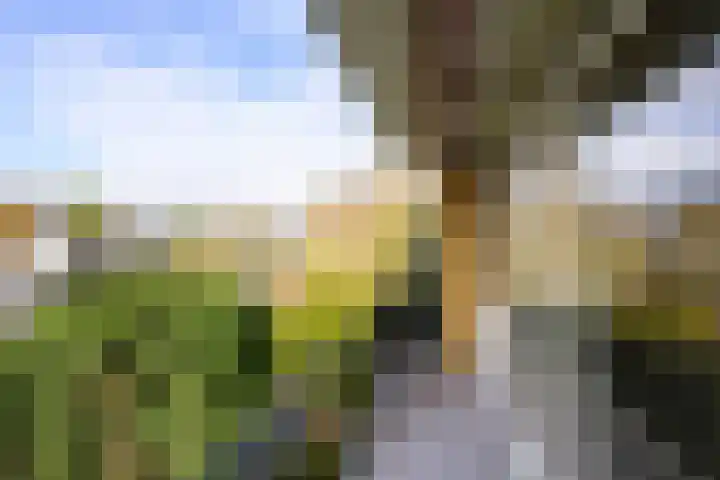 Vaartweg 128 Hilversum thumbnail 27