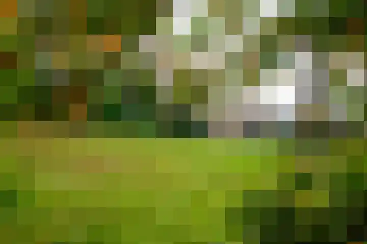 Vaartweg 128 Hilversum thumbnail 32