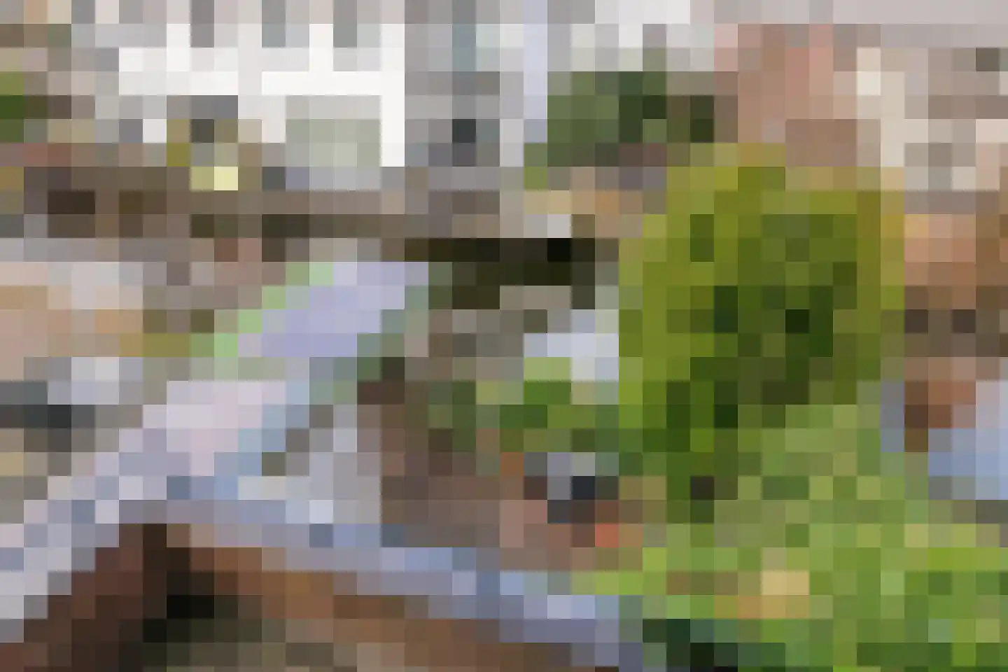 Vaartweg 13 A Bussum thumbnail 25