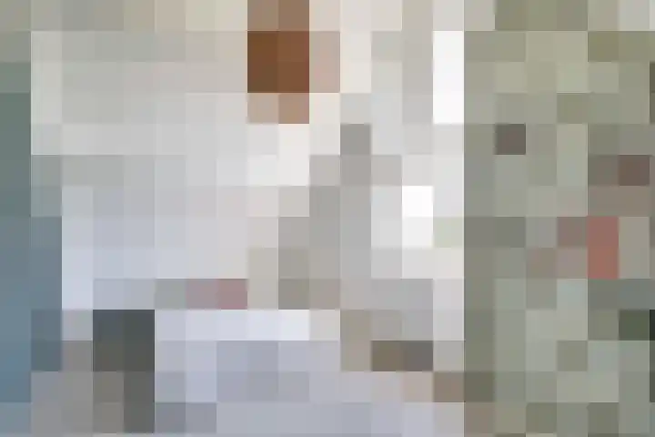 Vaartweg 13 D Bussum thumbnail 15