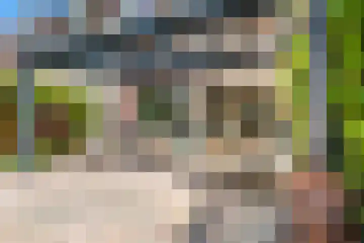 Vaartweg 13 D Bussum thumbnail 19