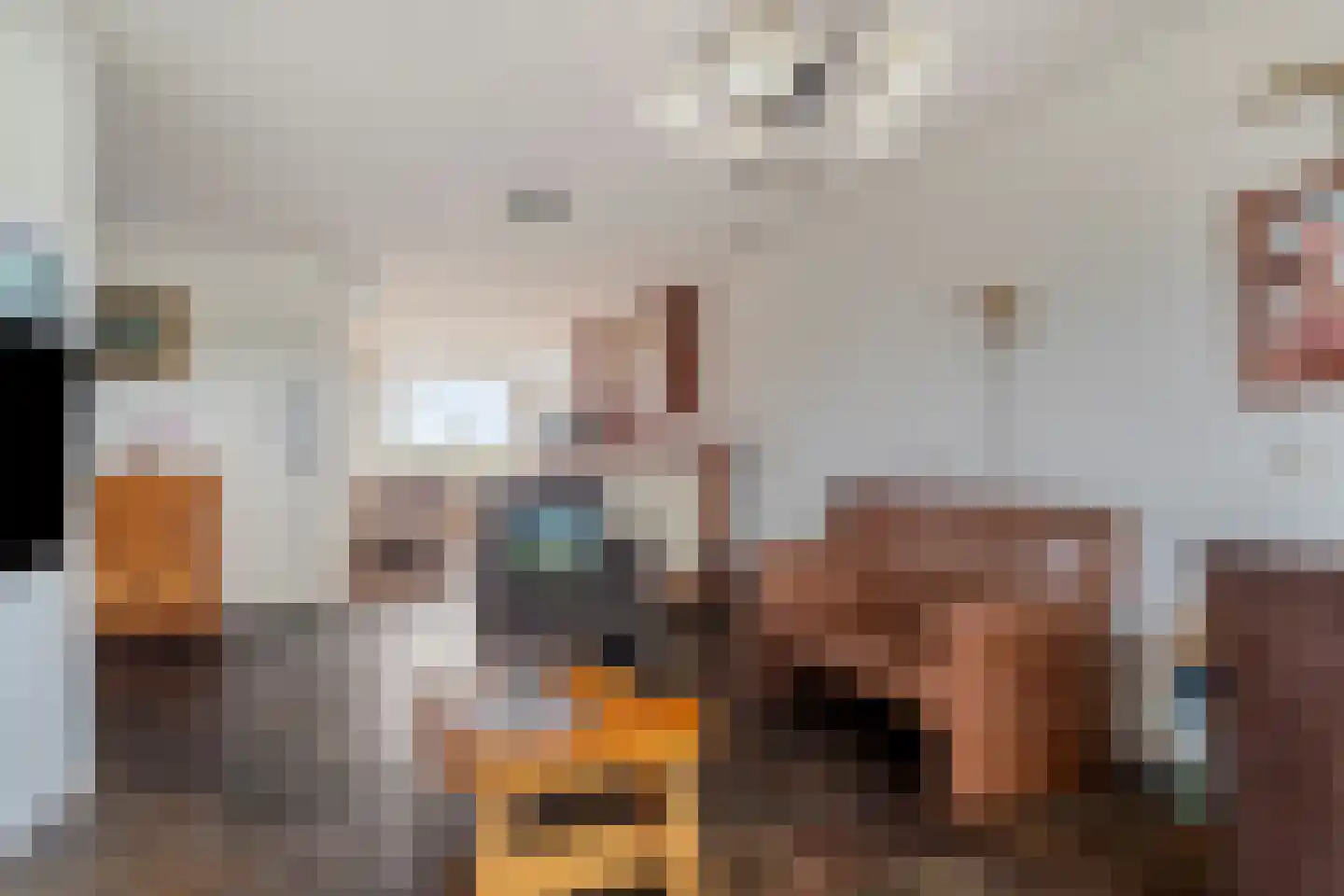 Vaartweg 13 Eemdijk thumbnail 10