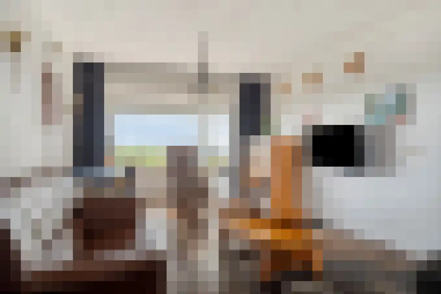 Vaartweg 13 Eemdijk thumbnail 11