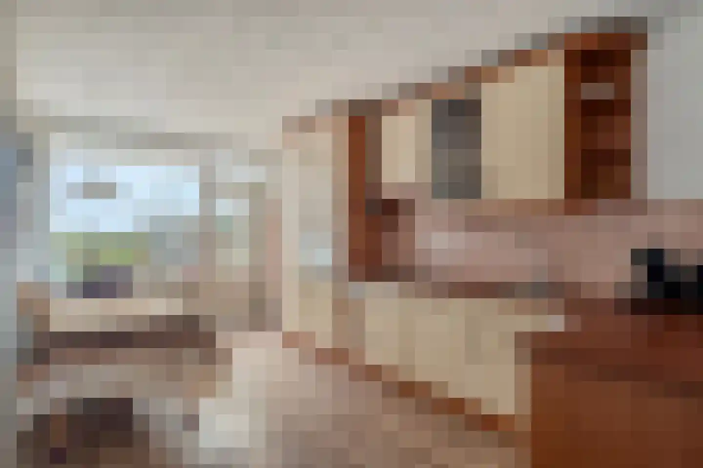 Vaartweg 13 Eemdijk thumbnail 13