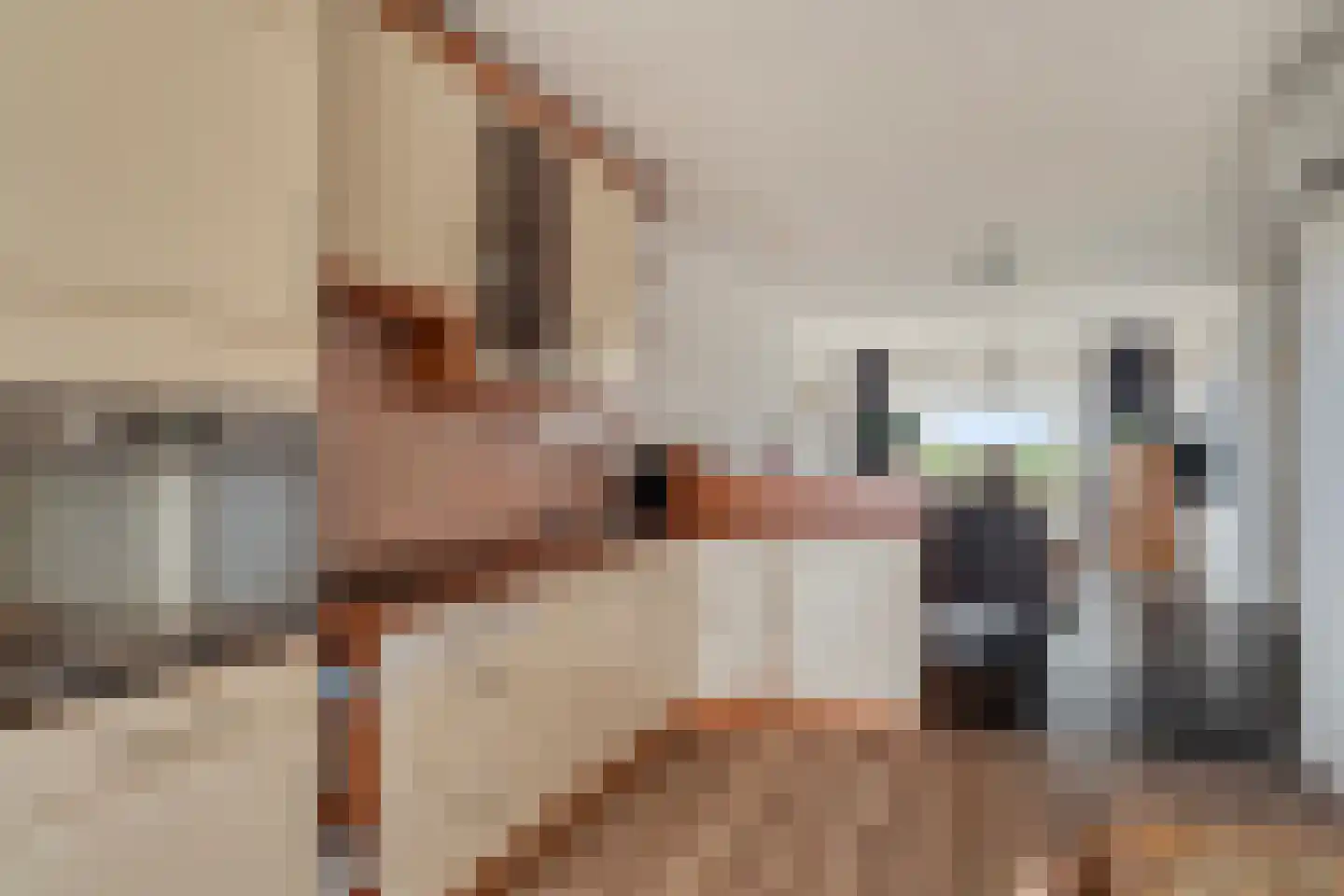 Vaartweg 13 Eemdijk thumbnail 15