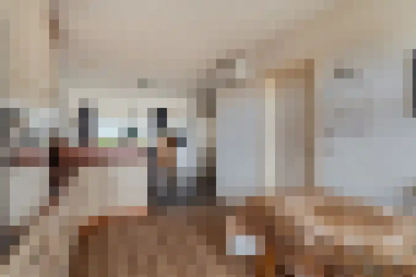 Vaartweg 13 Eemdijk thumbnail 16