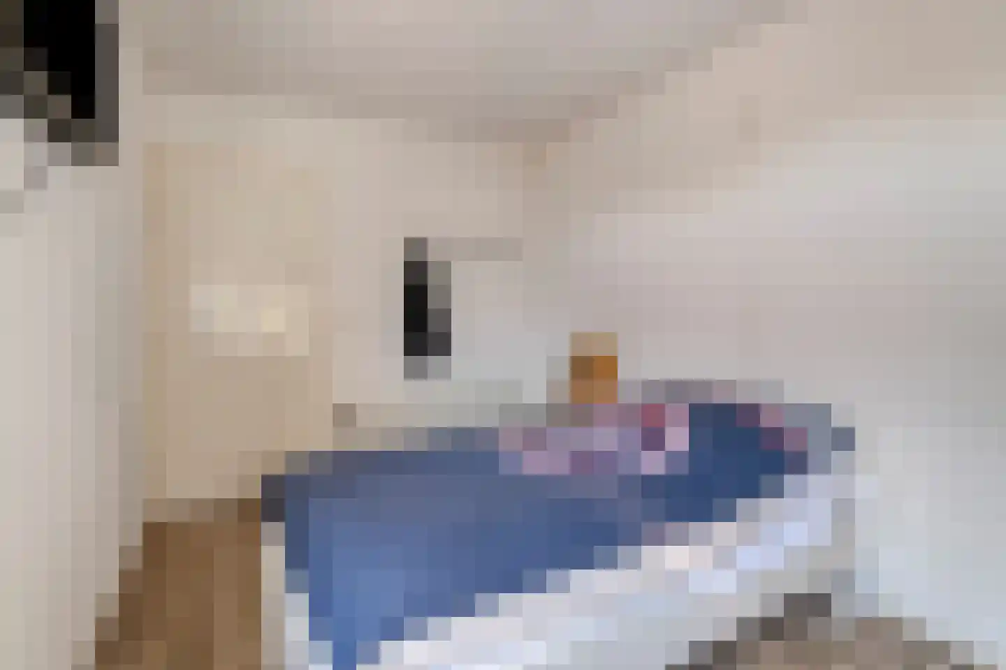 Vaartweg 13 Eemdijk thumbnail 18