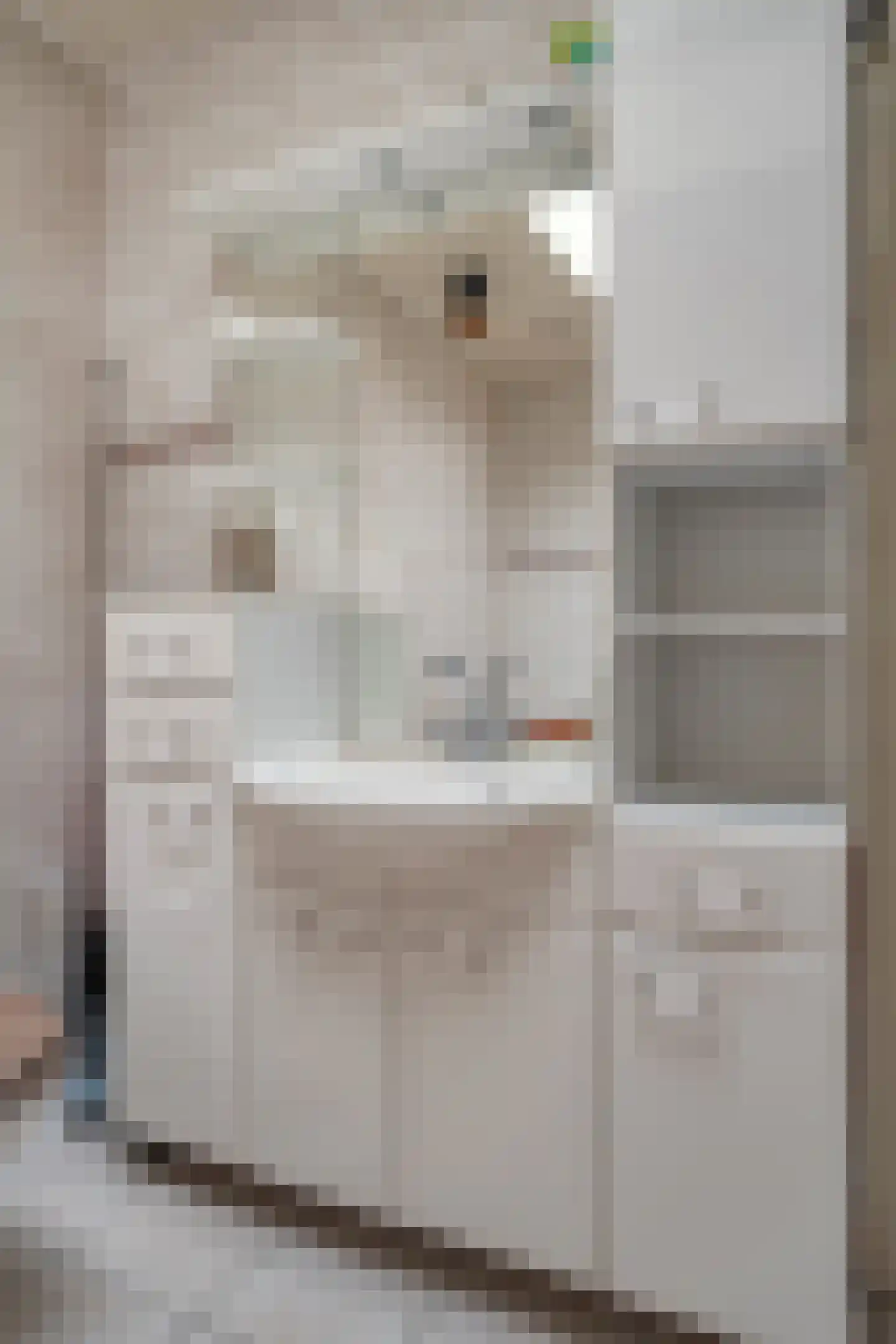 Vaartweg 13 Eemdijk thumbnail 37