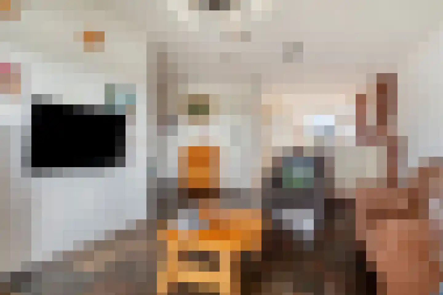 Vaartweg 13 Eemdijk thumbnail 9