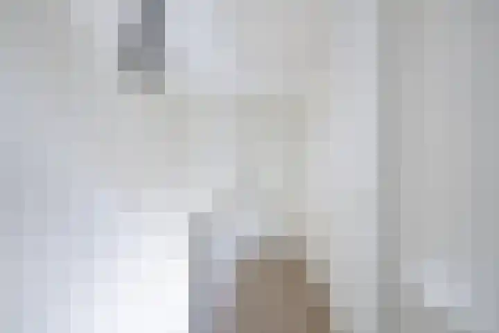Vaartweg 14 Espel thumbnail 28