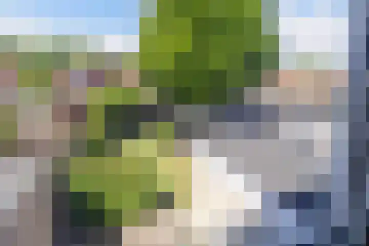 Vaartweg 14 Espel thumbnail 32
