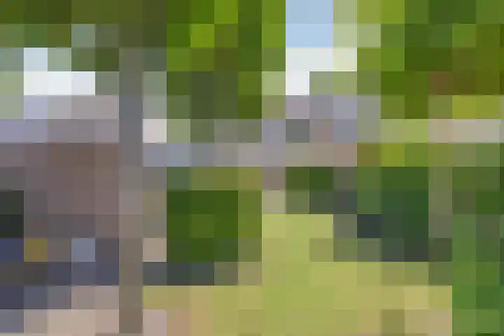 Vaartweg 14 Espel thumbnail 33