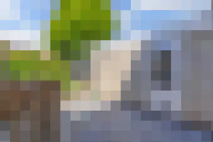 Vaartweg 14 Espel thumbnail 36